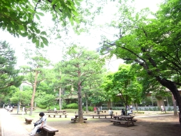 ■キャンパスにて・・ 緑が美しい大学のキャンパス。 大学時代に手に入れたPCは今の仕事を 選んだ自分に大きな影響を与えてくれた。 ■キャンパスにて・・ 緑が美しい大学のキャンパス。 大学時代に手に入れたPCは今の仕事を 選んだ自分に大きな影響を与えてくれた。